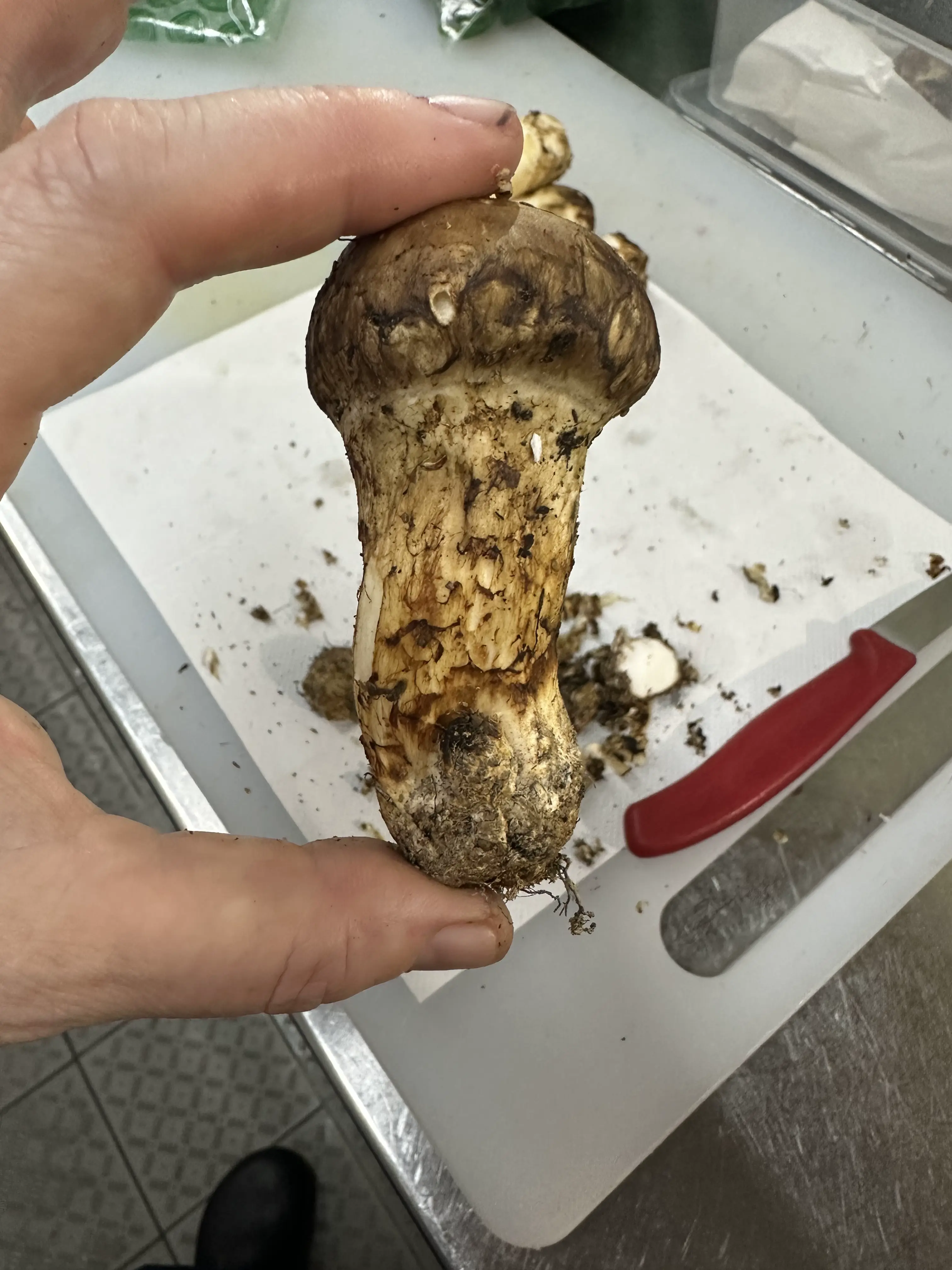 Local sourced vegetables and herbs